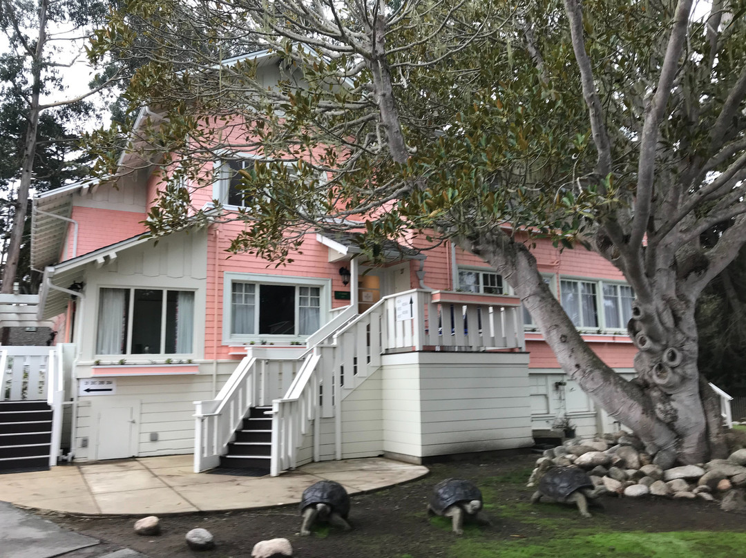 蝴蝶格罗夫旅馆主图