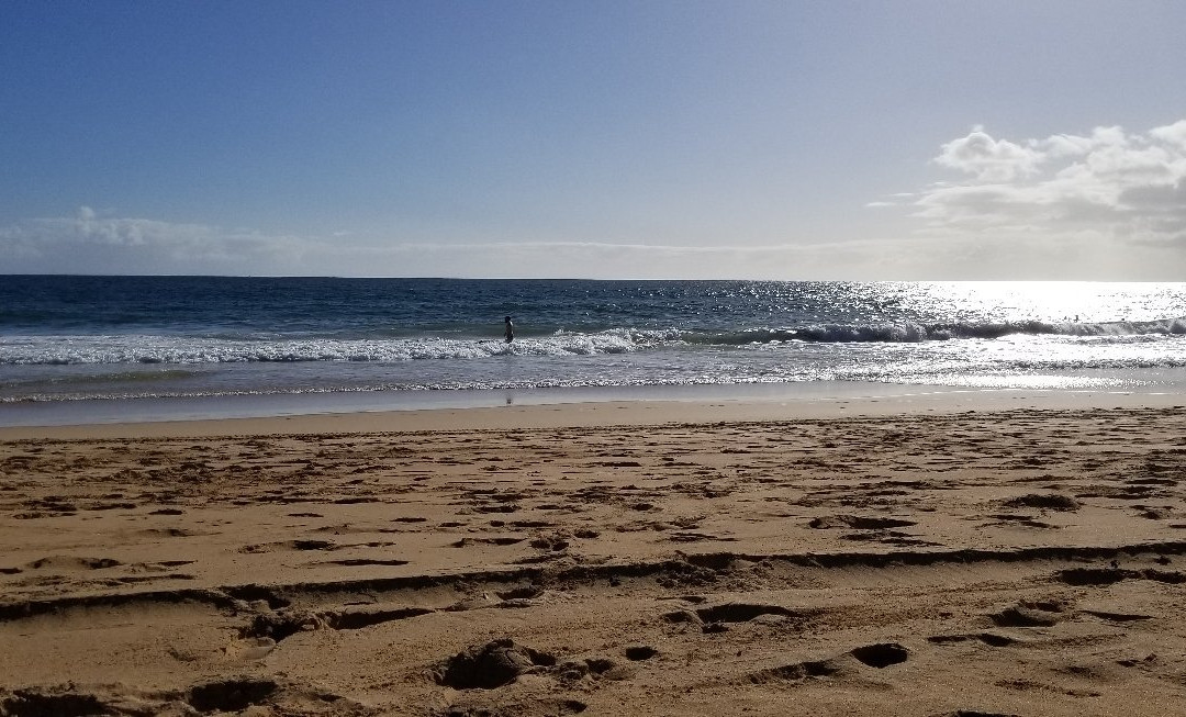 Kekaha Beach Park景点图片