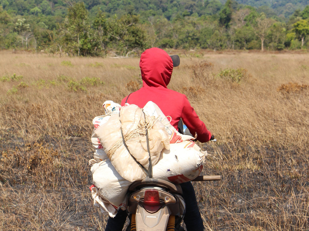 Wild KK Project-戈公必去景点