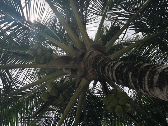 Lamares Pousada de Charme主图