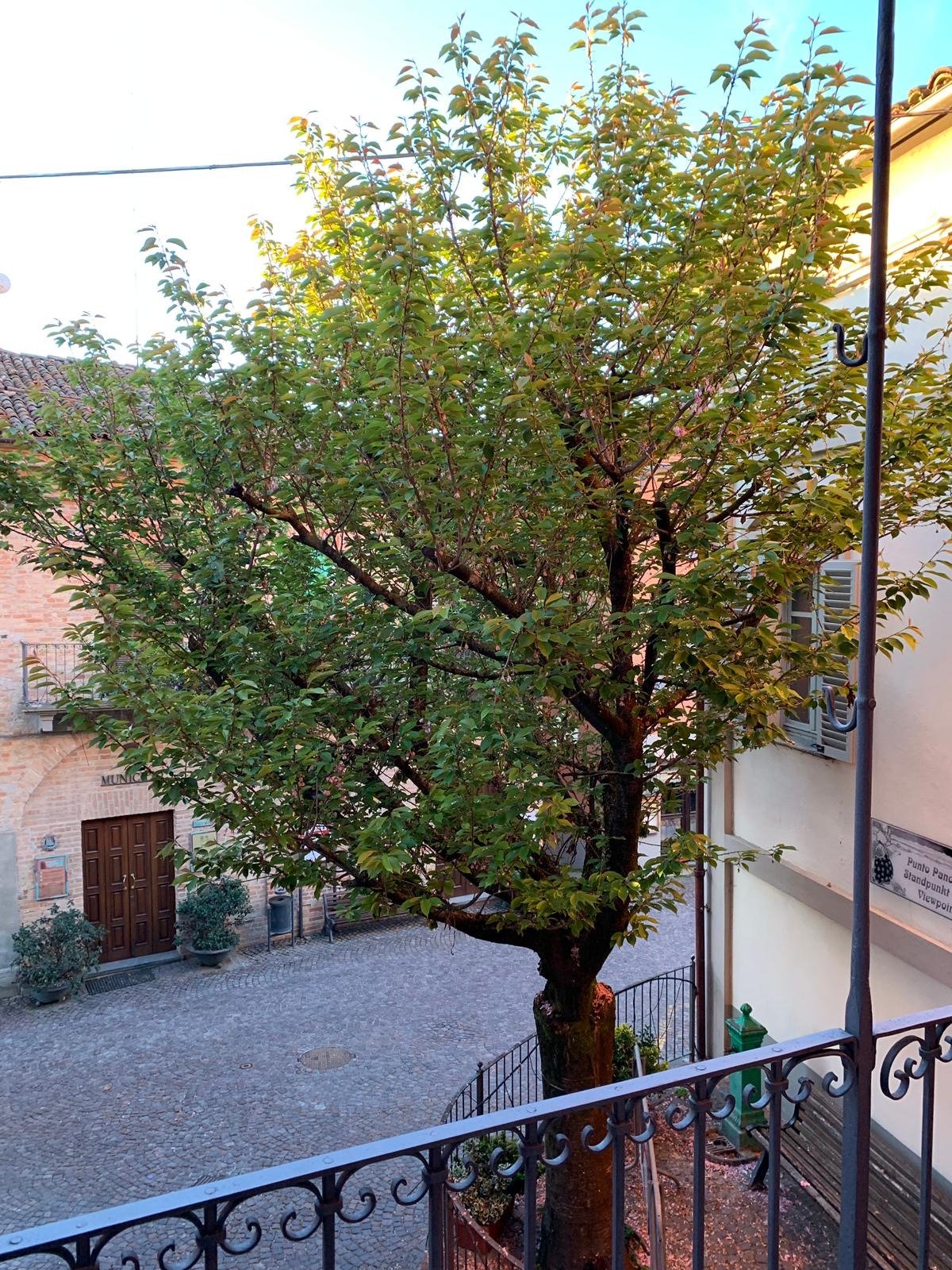 Hotel Castelbourg-酒店景观