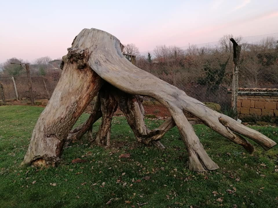 Bio Agriturismo Aia del Tufo主图