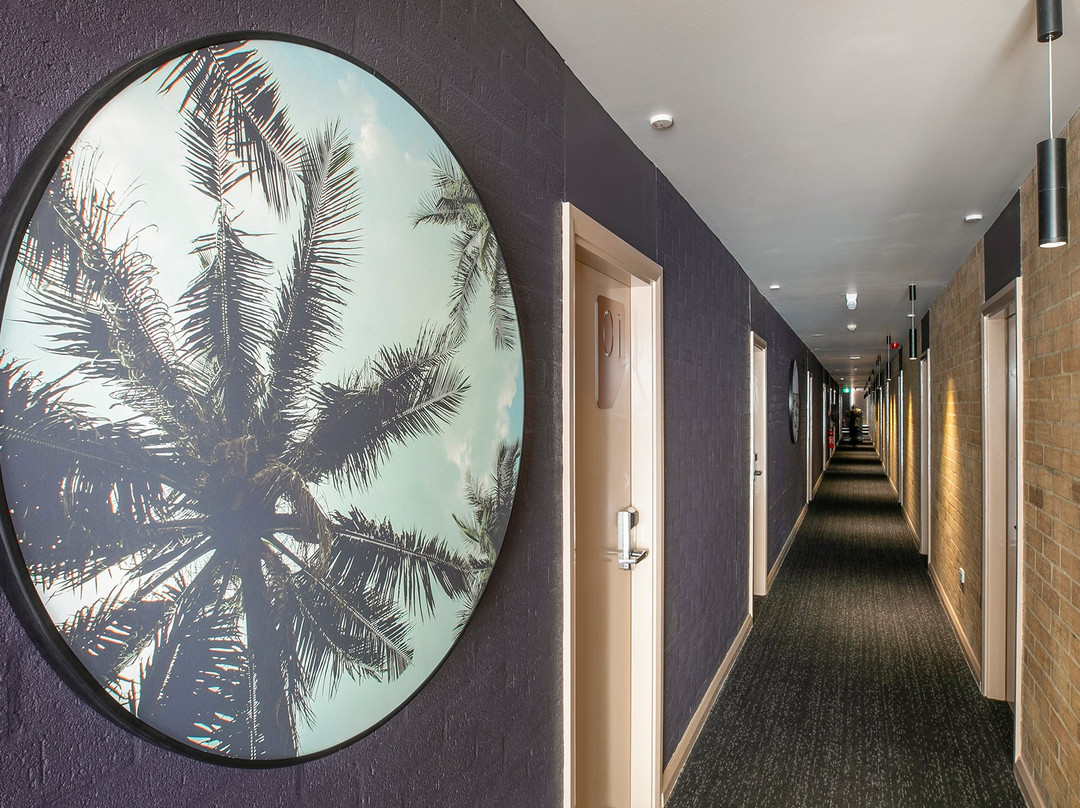 Nightcap at Fairfield主图