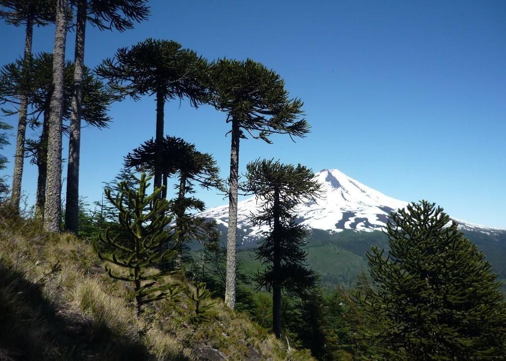 Hospedaje en Temuco主图