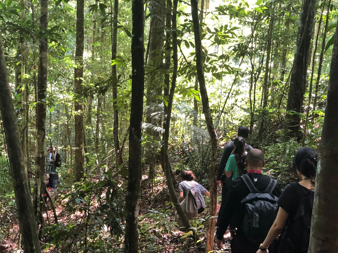 Jungle Xperience Suriname景点图片