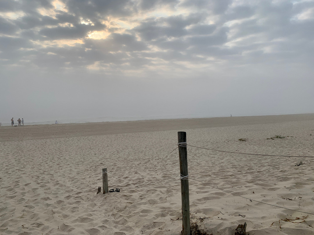 Bennetts Beach Hawks Nest景点图片