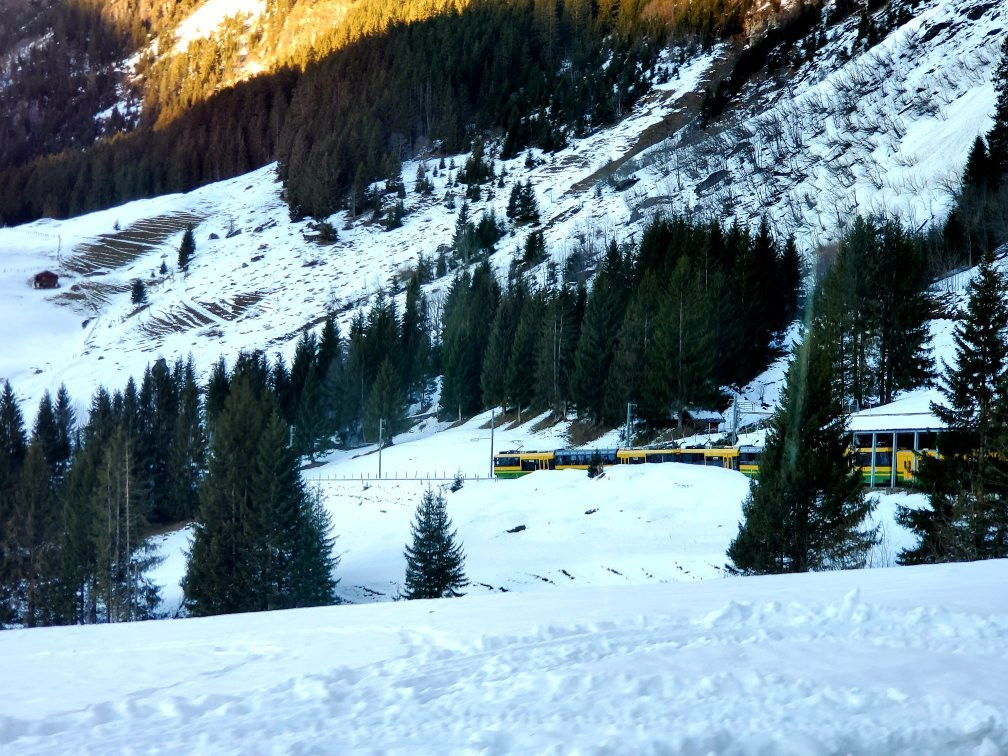 顶尖瑞士游旅行社景点图片
