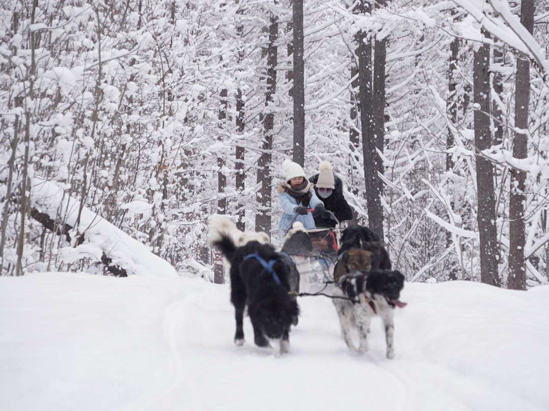Hokkaido Adventure Tours - Day Tour-南富良野町必去景点