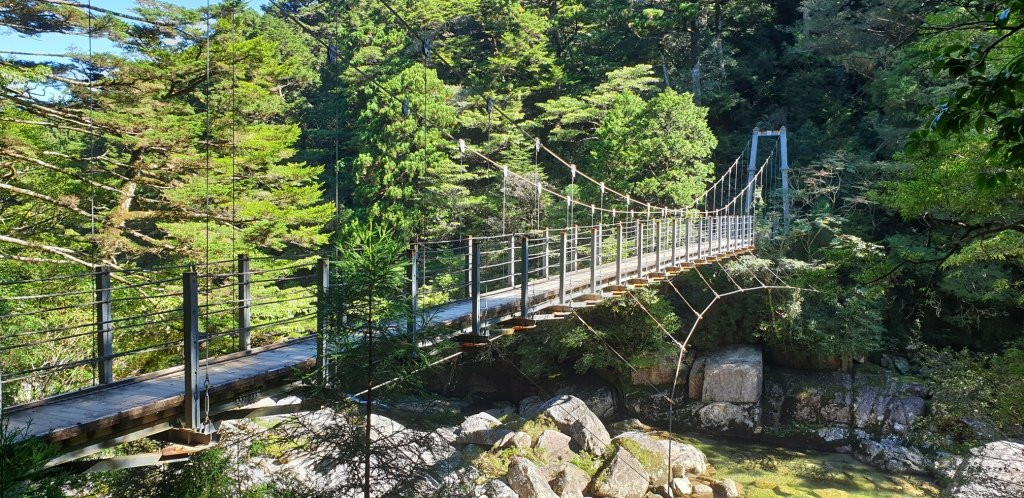 Yakusugi Land景点图片