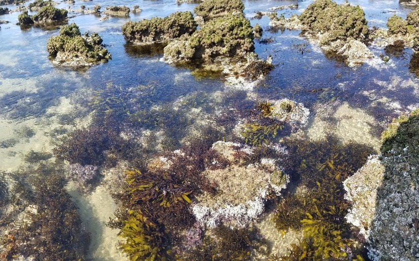 Pilot Beach-Camden Head必去景点