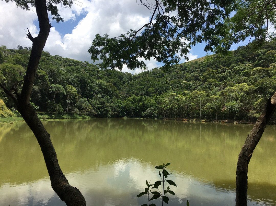 Parque da Lajinha景点图片