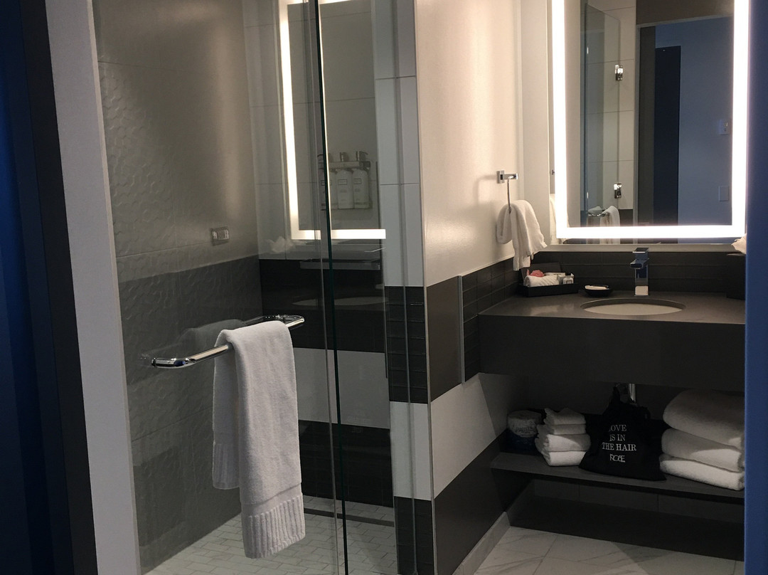 The Rose Hotel Chicago O’Hare, Tapestry Collection by Hilton主图
