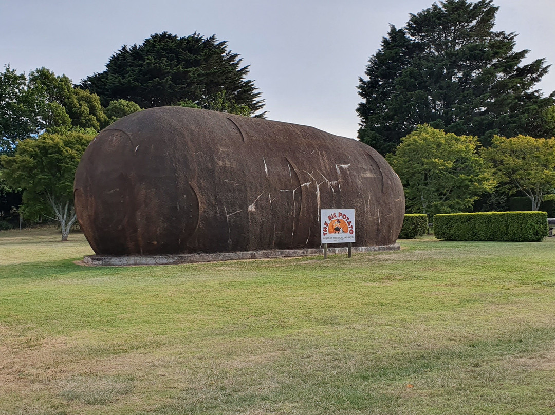 The Big Potato-Robertson必去景点