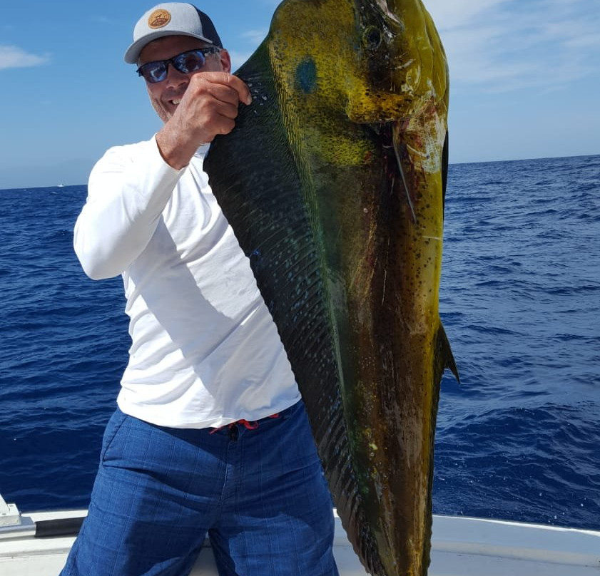 Baja's Awesome Sportfishing景点图片