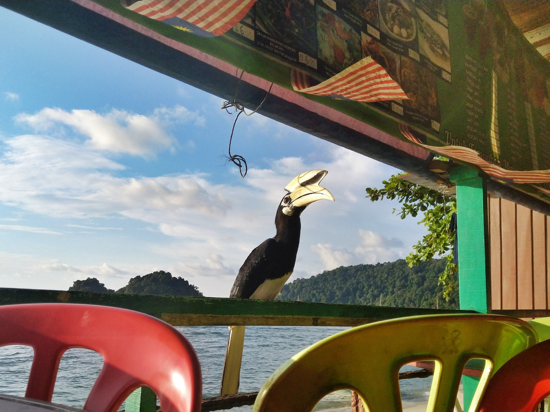 Nazri Nipah Camp主图