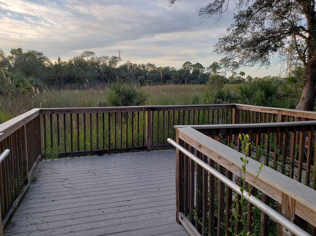 美洲狮国家野生动物保护区-Immokalee必去景点