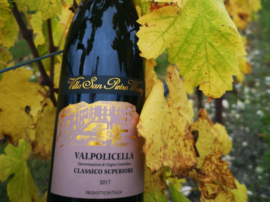 Villa San Pietro Winery-Bure必去景点