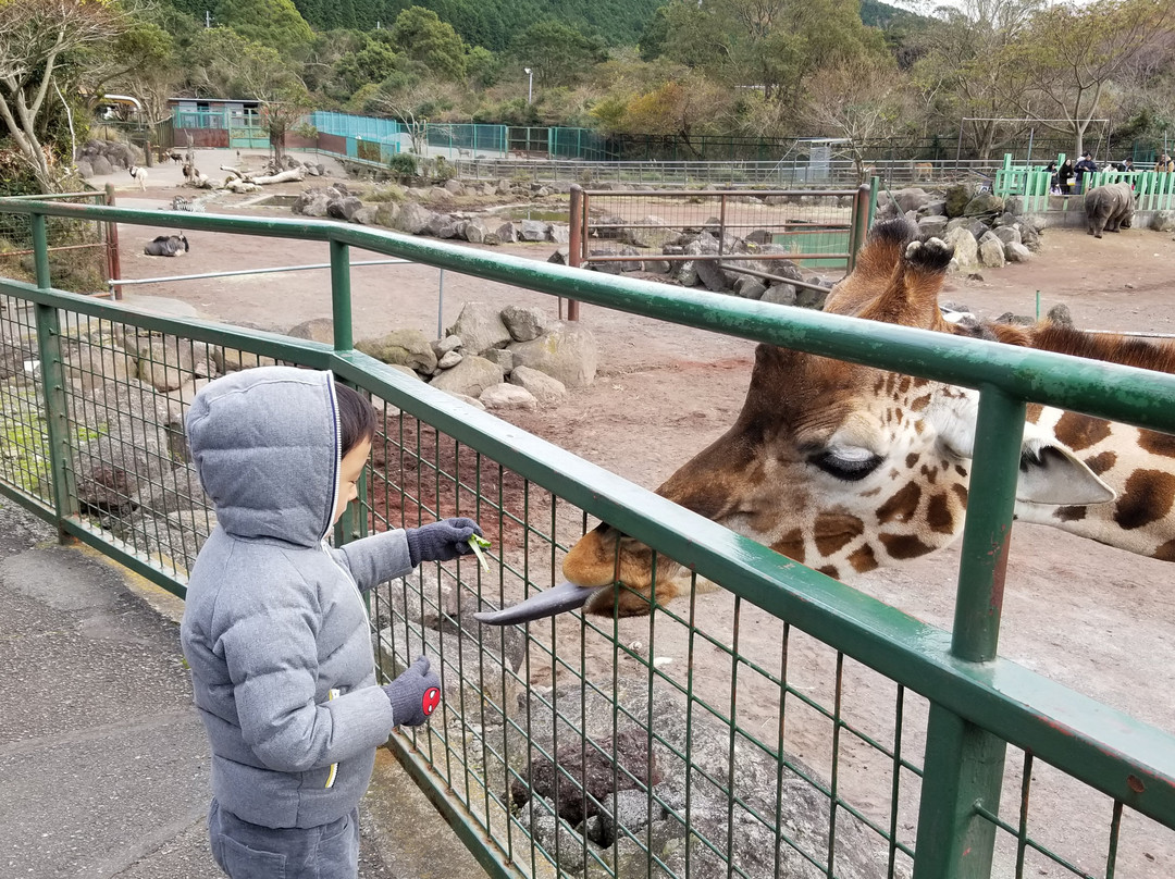 Izu Animal Kingdom景点图片