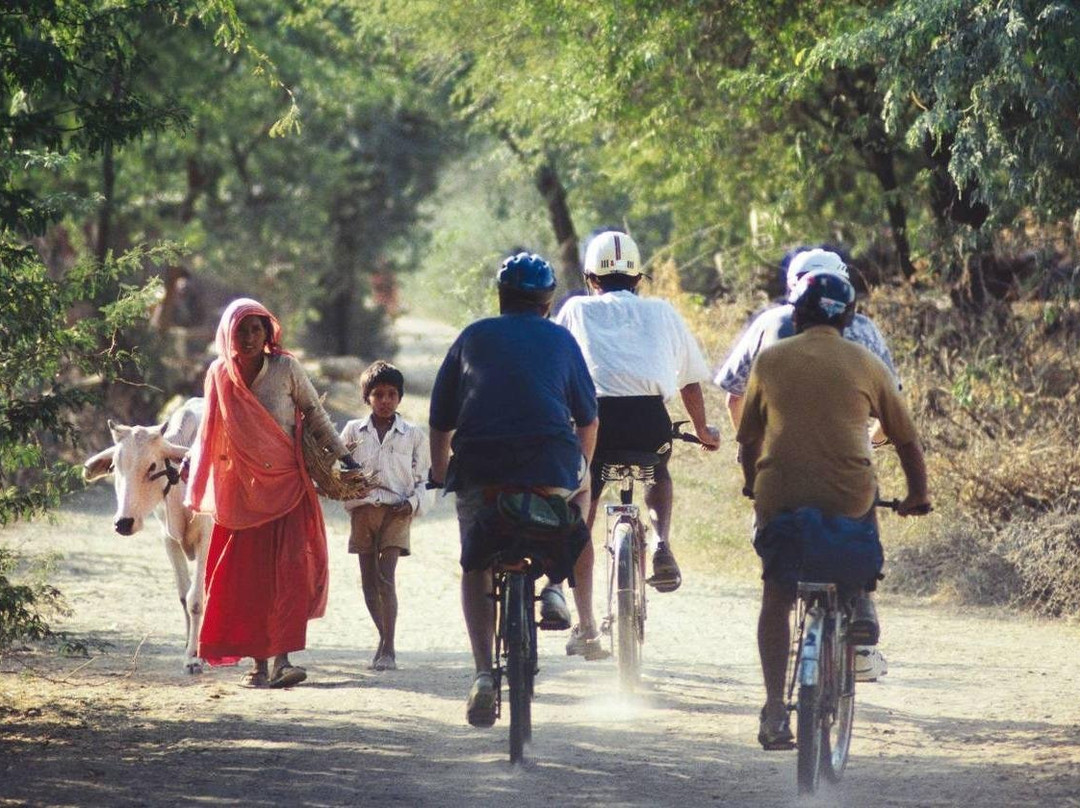 City Tours India景点图片