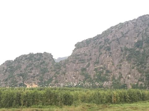 Van Long Family Homestay主图