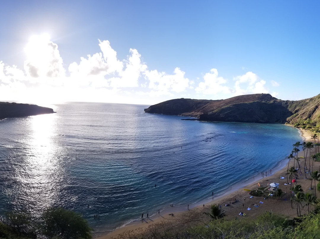 Aloha Trikke-火奴鲁鲁必去景点