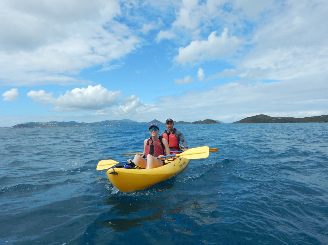 Caneel Bay Kayak, Hike & Snorkel Adventure - Virgin Islands Ecotours景点图片