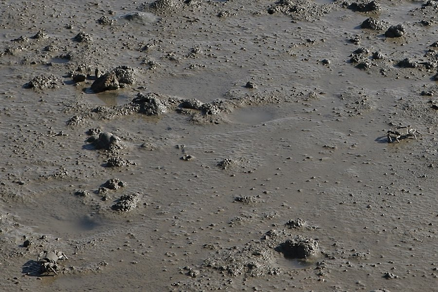 Hwado Nodugil-新安郡必去景点