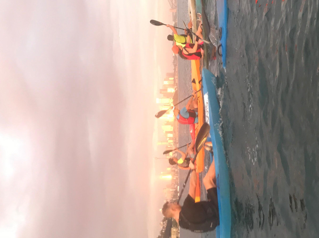 Rose Bay Aquatic Hire-Rose Bay必去景点