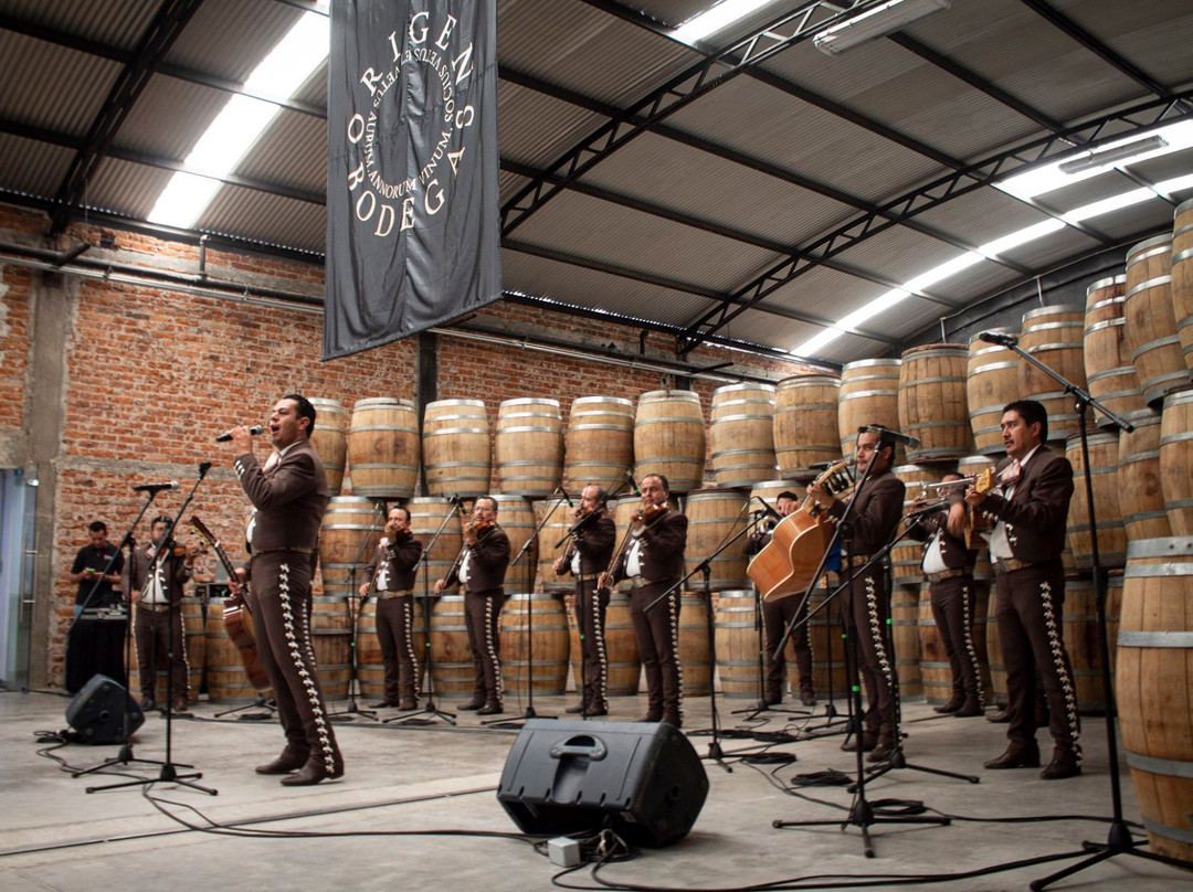 Bodegas Origen-Pabellon de Arteaga必去景点