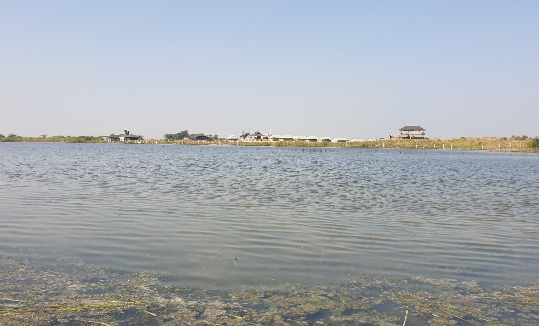 Sambhar Salt Lake-Kuchaman必去景点