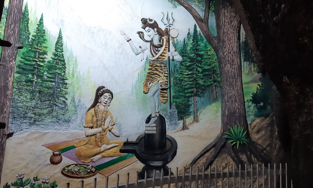 Devi Talab Mandir Temple景点图片