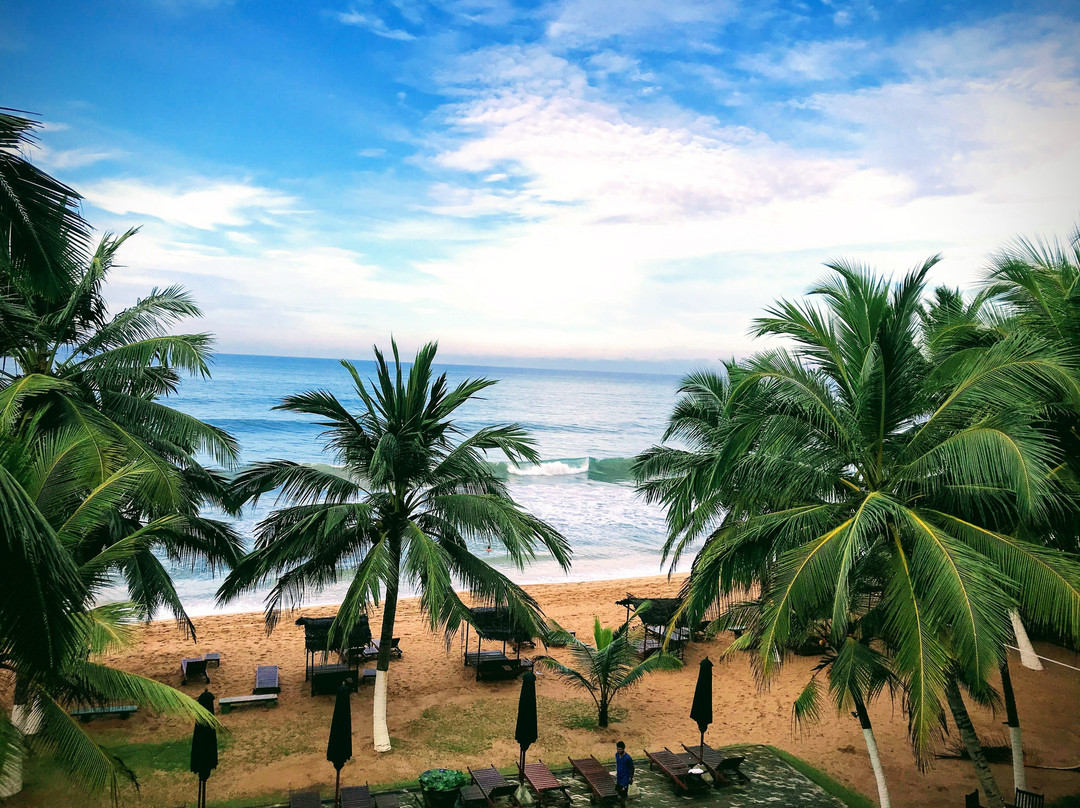 皇家海滩度假村主图