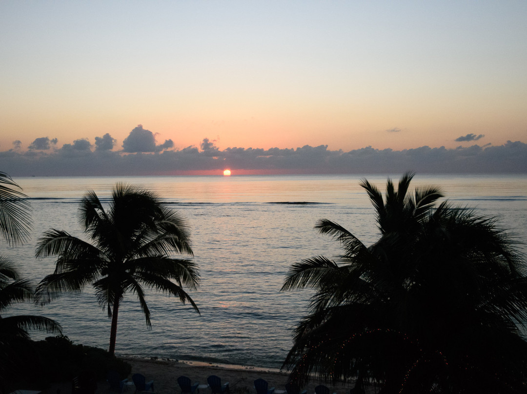 Turtle Nest Inn主图