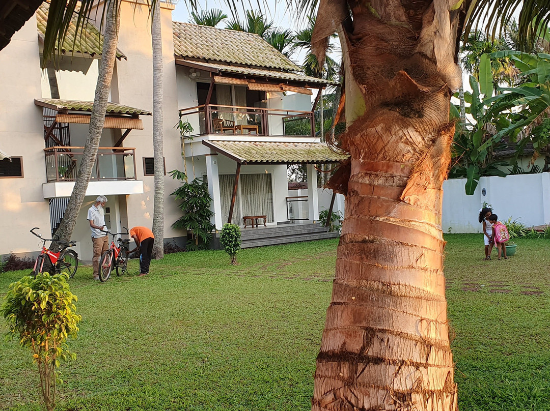 Backwater Brook Resort主图