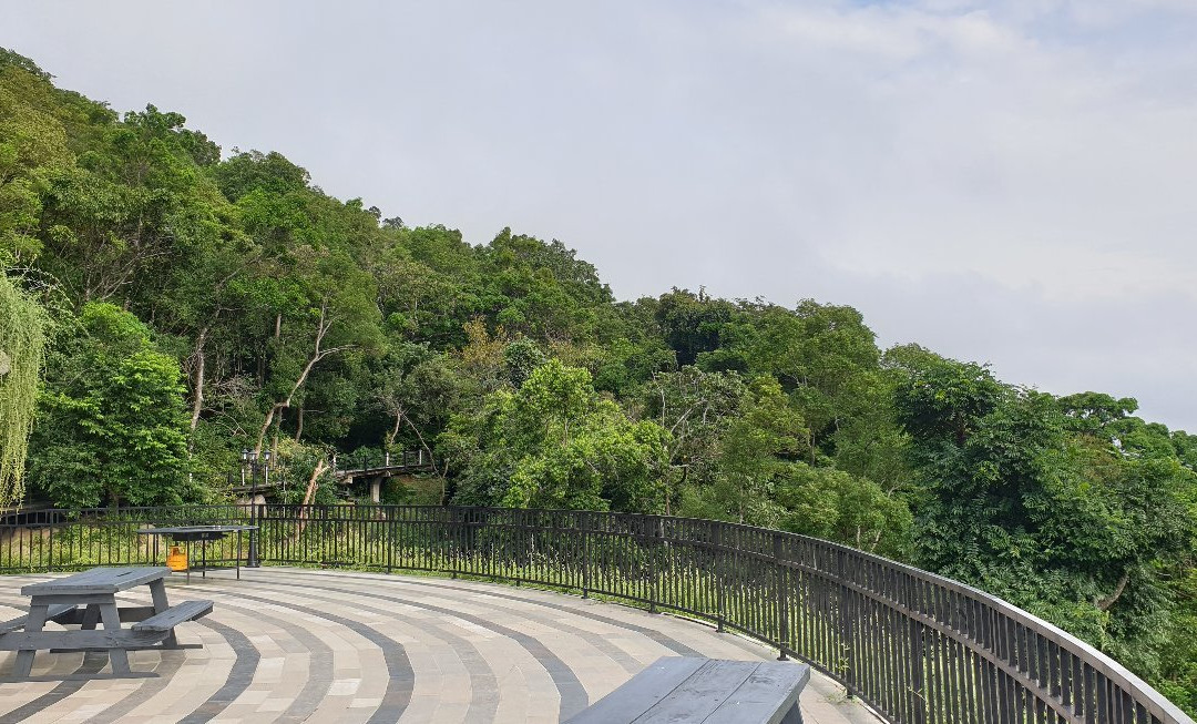 Arangala Forest Lodge