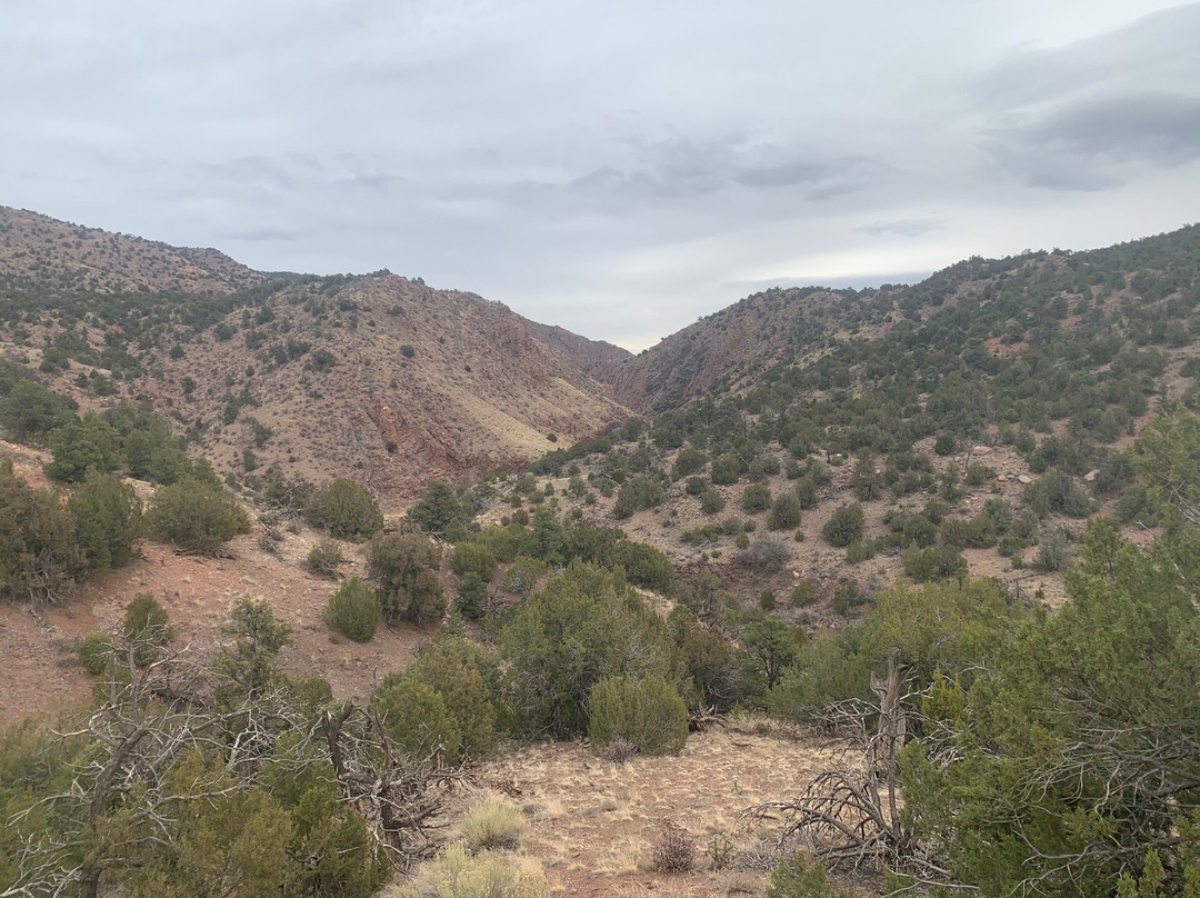 Temple Canyon Park-卡农城必去景点