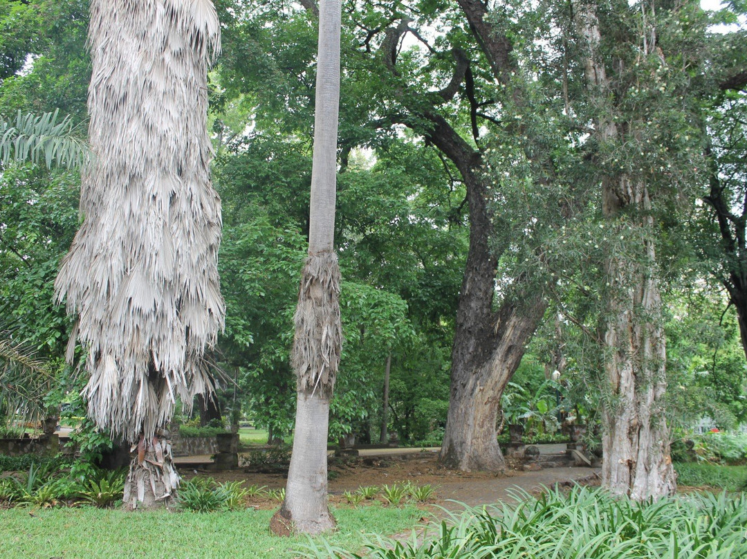 Tunduru Botanical Gardens景点图片