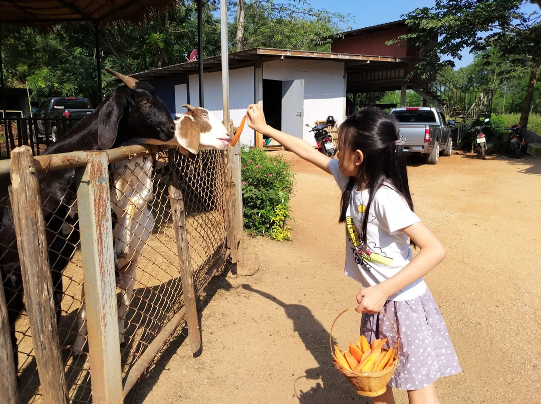 Farm Mor Por景点图片