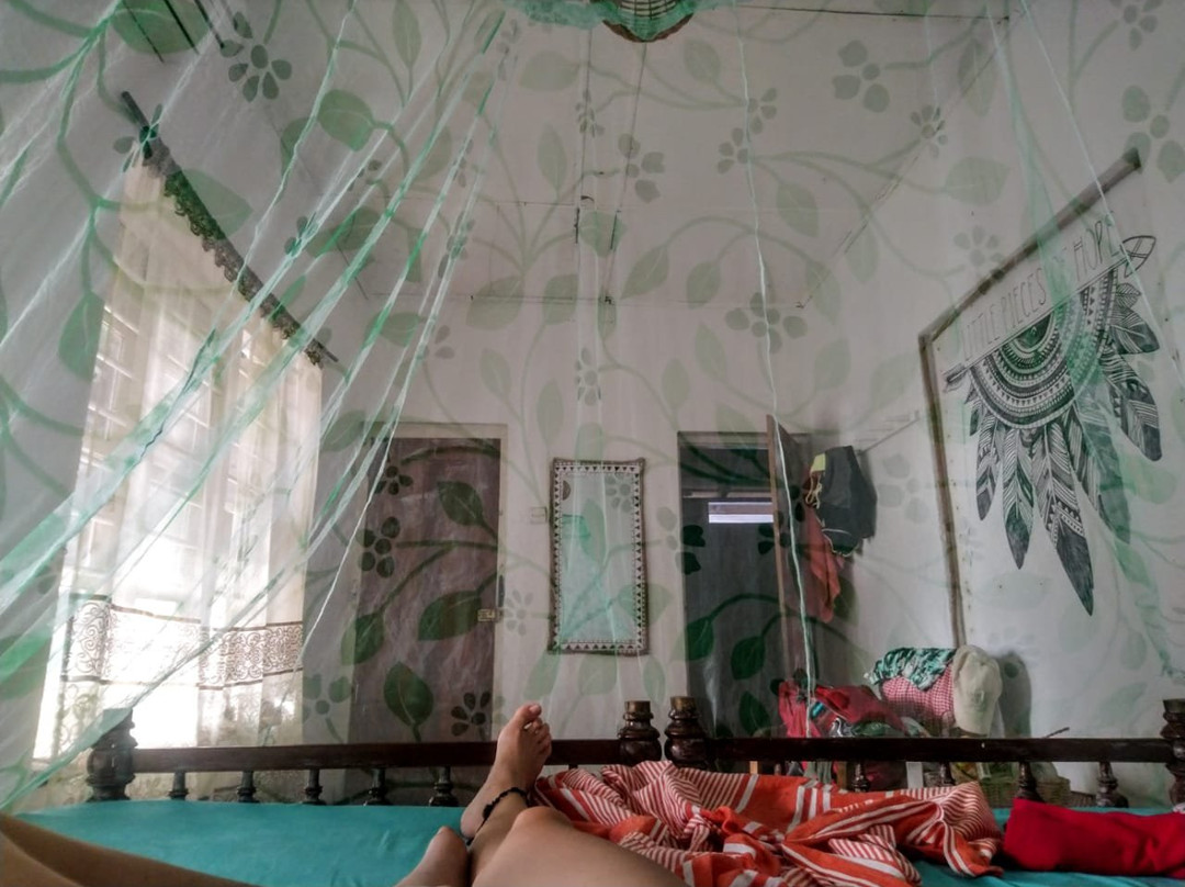 The Old House Villa主图