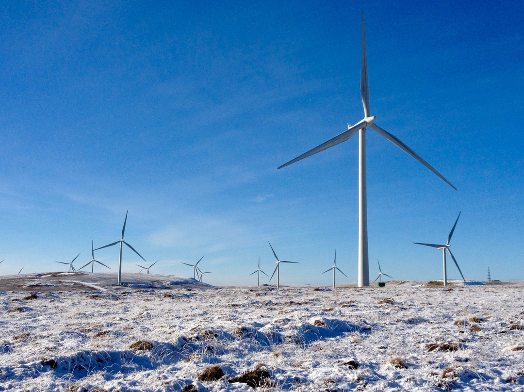 Whitelee Windfarm-Eaglesham必去景点