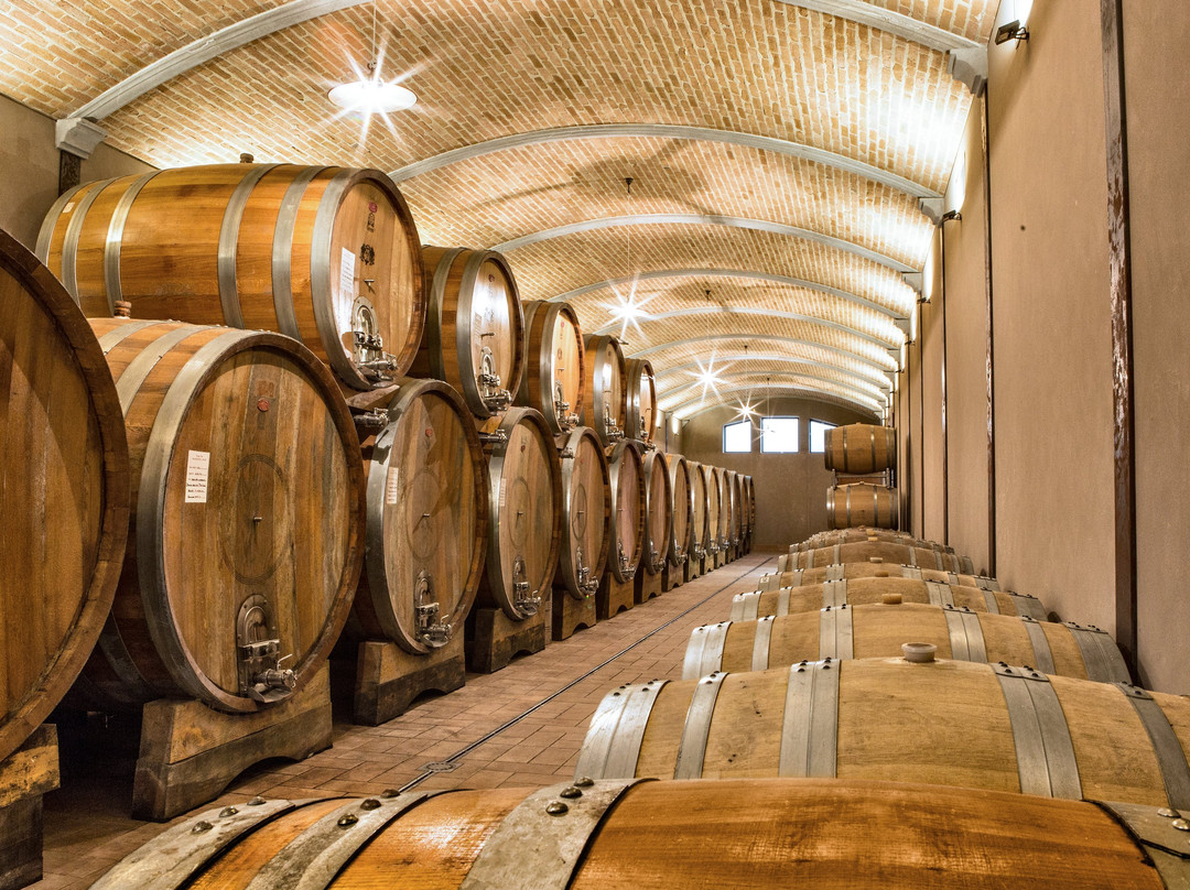 Massolino Winery景点图片