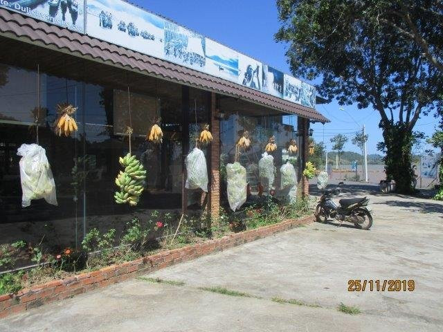 Vân Long Elephants Lak Lake主图