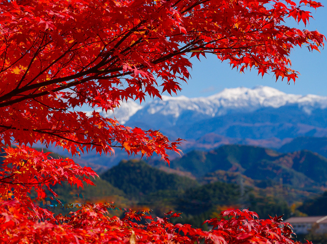 Shiroyama Park景点图片