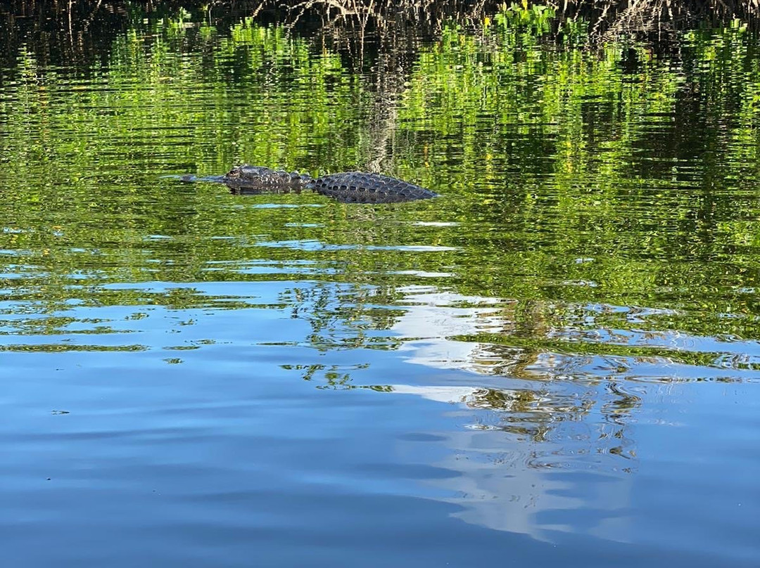 Tour The Glades - Private Wildlife Tours景点图片