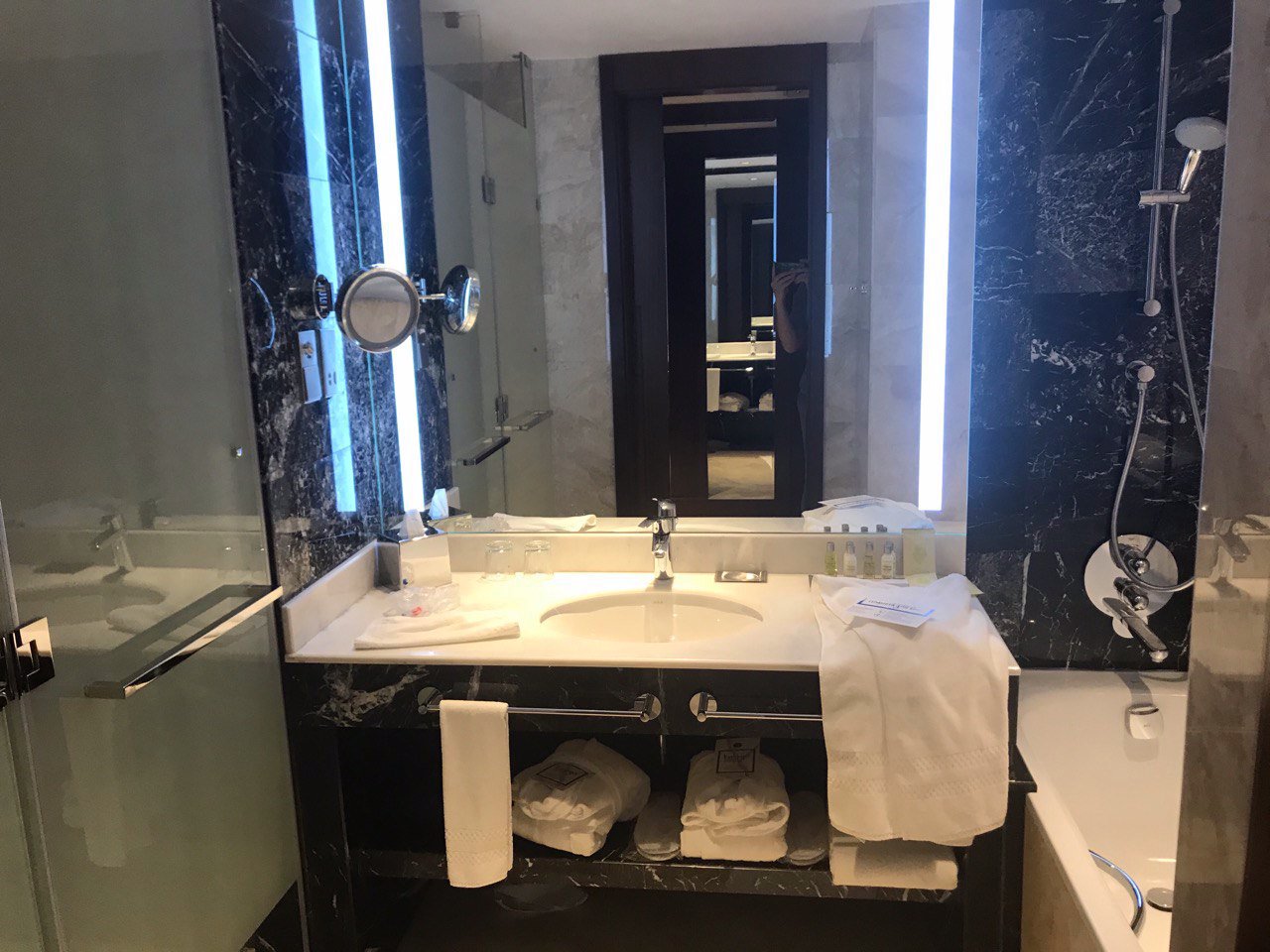 Hilton Astana-浴室