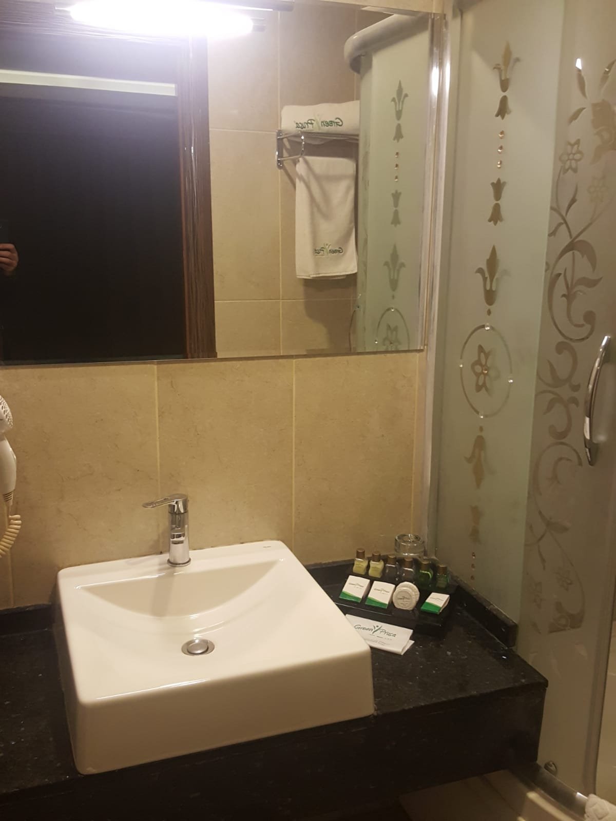 Green Prusa Hotel-浴室