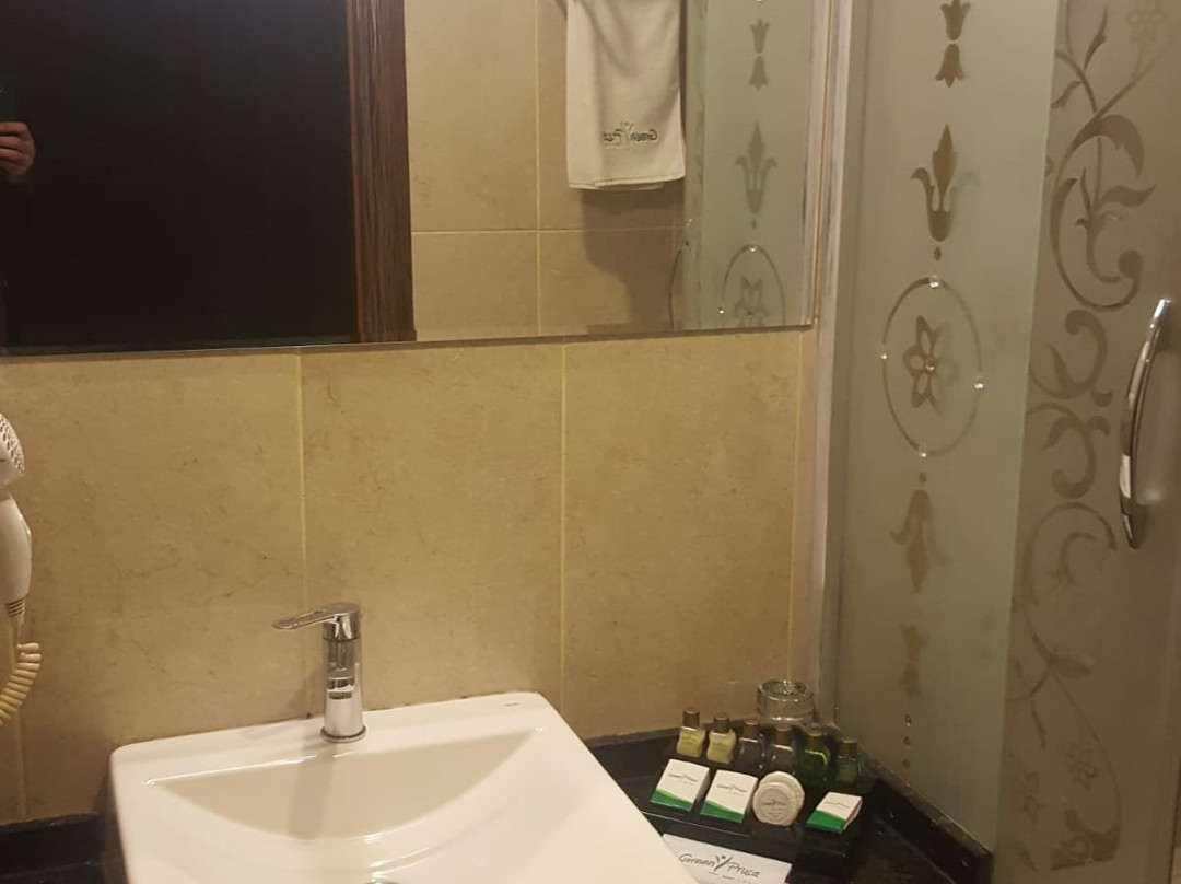 Green Prusa Hotel主图