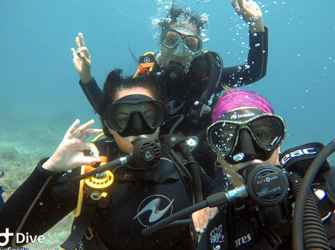 Big Fins Dive Center-San Jacinto必去景点