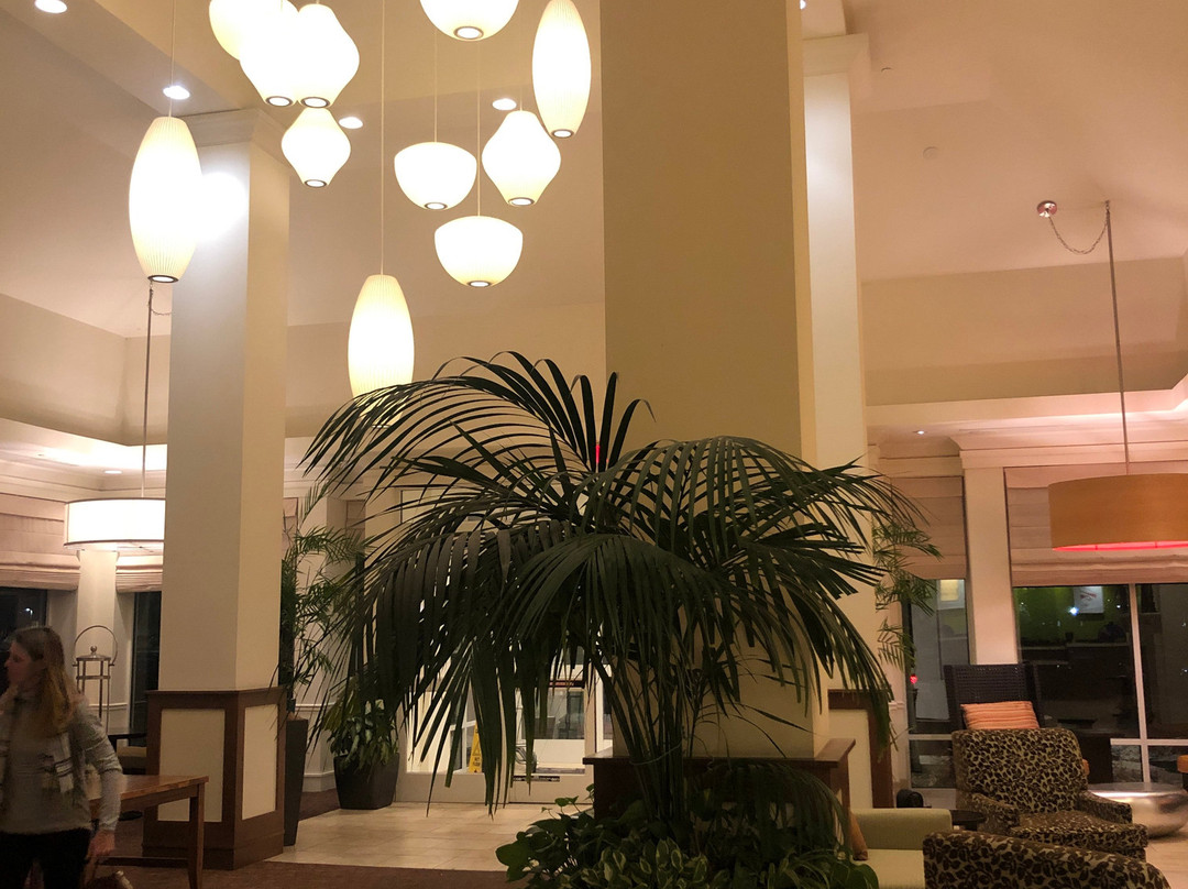 盐湖城机场希尔顿花园酒店 主图