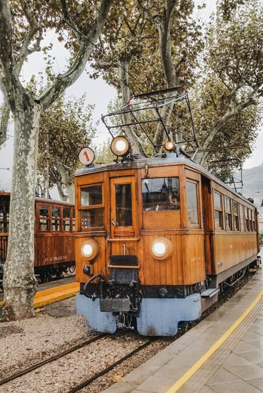 Mallorca Private Tour Guides - Day Tours-马洛卡帕尔马必去景点